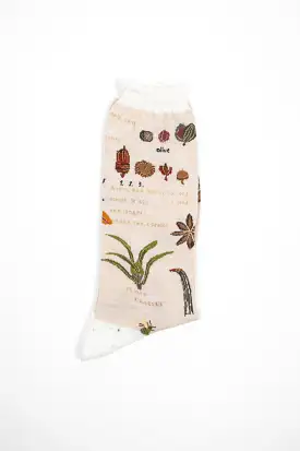 AM-773 Botanical XV Socks Ivory