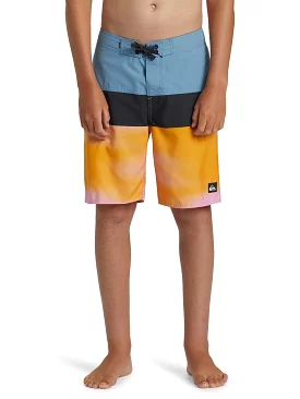 Quiksilver Boys Everyday Panel 17 Boardshorts